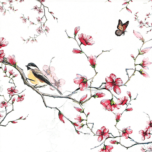 냅킨아트 13311215 Bird & Blossom White 냅킨20매 33x33cm 1028