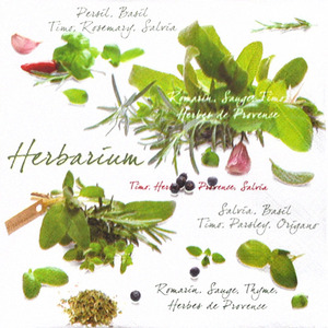 냅킨아트 R0414 HER Herbarium 냅킨20매 33x33cm 0370
