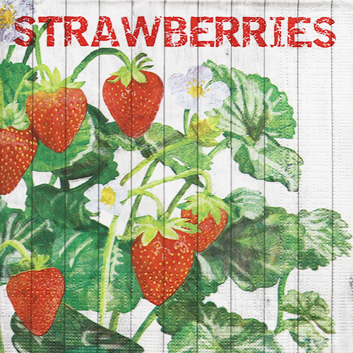 냅킨아트 1332394 Harvest Strawberries 냅킨20매 33×33cm 0836