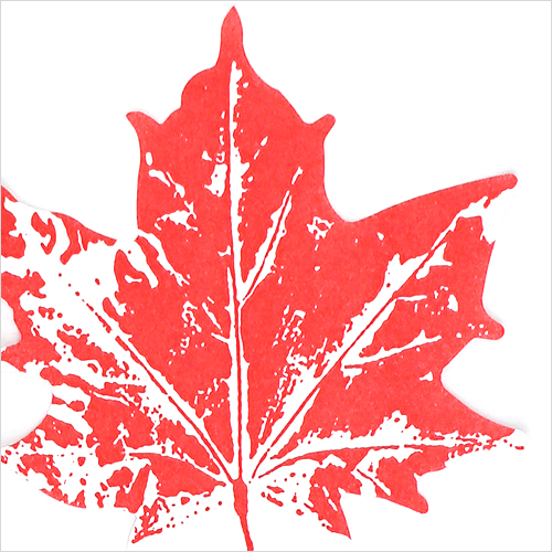 냅킨아트 33562 Maple leaf red 냅킨20매 33x33cm 0953