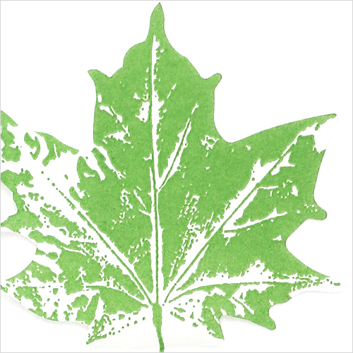 냅킨아트 33564 Maple leaf green  냅킨20매 33×33cm 1113