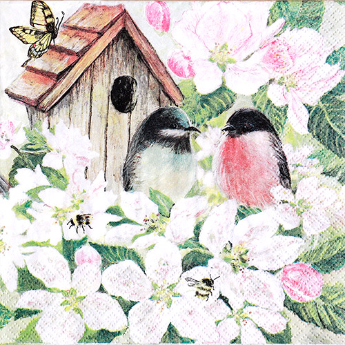 냅킨아트 211716 Birds and Blossom 냅킨20매 33x33cm 2173