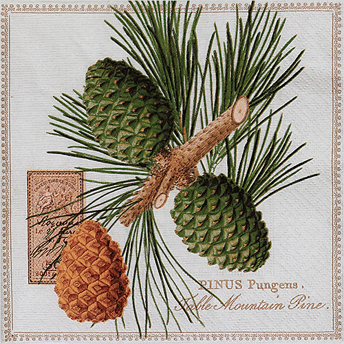 냅킨아트 200725 Mountain pine 냅킨20매 33x33cm 2605