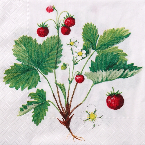 냅킨아트 177070 Wild strawberry 냅킨20매 33x33cm