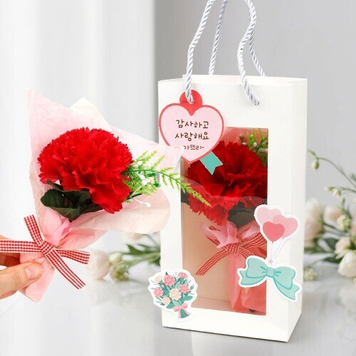 (MS) 카네이션 꽃다발 투명 쇼핑백