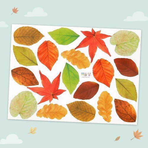 (MS) 가을 낙엽 조화 스티커 (실사 크기)