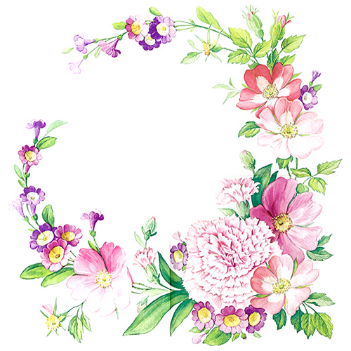 냅킨아트 211719 Carnation Flower 냅킨20매 33x33cm 0927