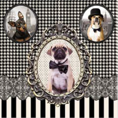 냅킨아트 R0414#DOGS Barocco dogs 냅킨20매 33x33cm 0767