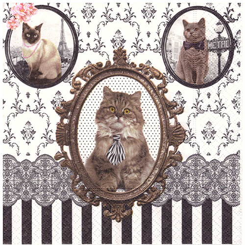 냅킨아트 R0414#CATS Barocco Cats 냅킨20매 33x33cm 0204